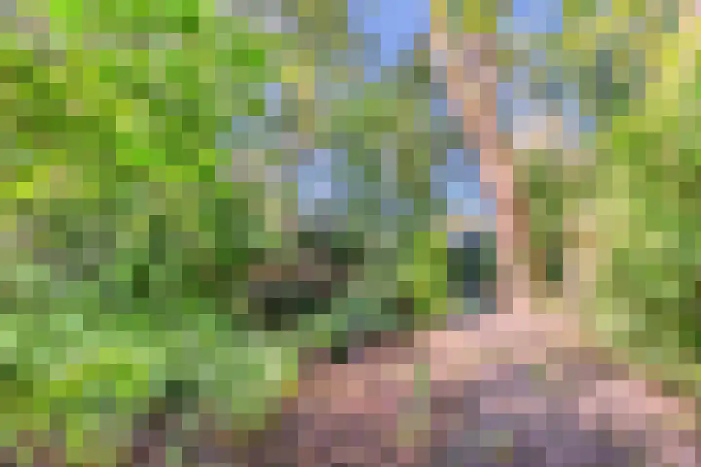 Eerste Blokweg 92 Vroomshoop thumbnail 4