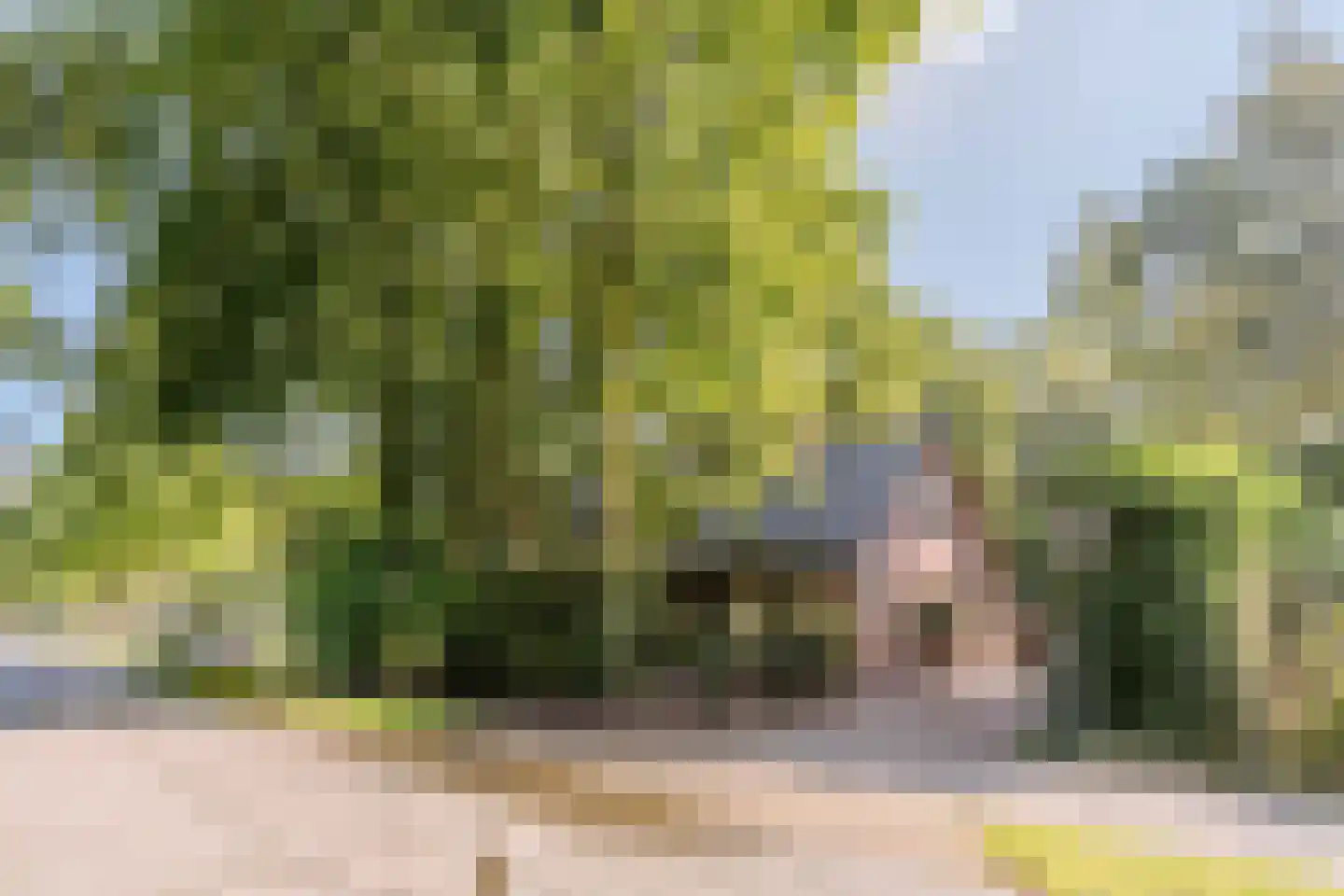 Eerste Blokweg 92 Vroomshoop thumbnail 40