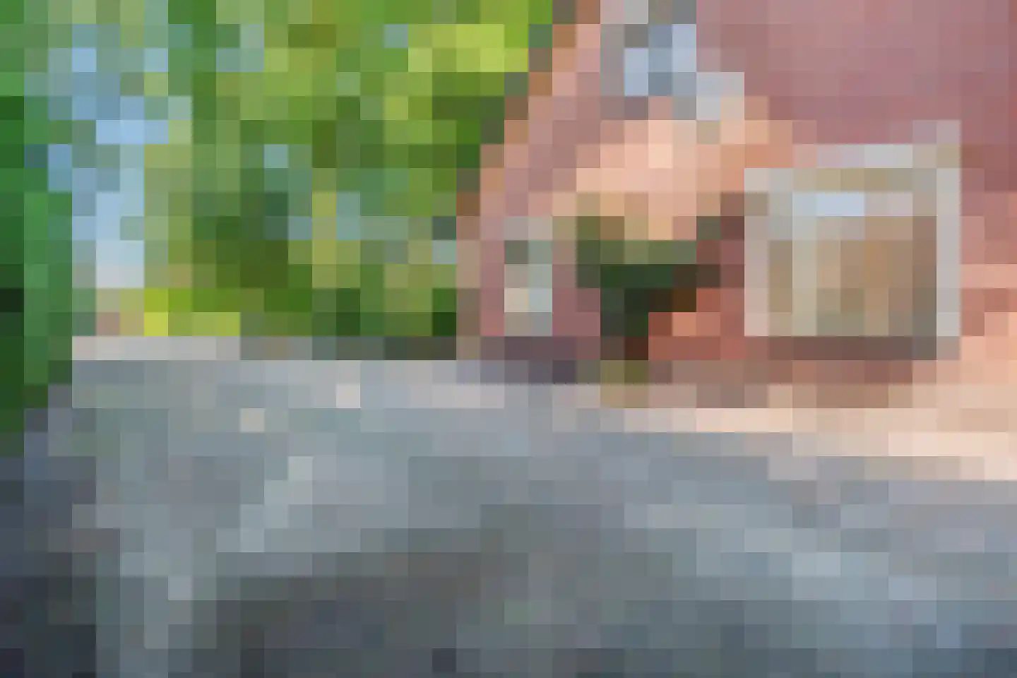 Eerste Blokweg 92 Vroomshoop thumbnail 41