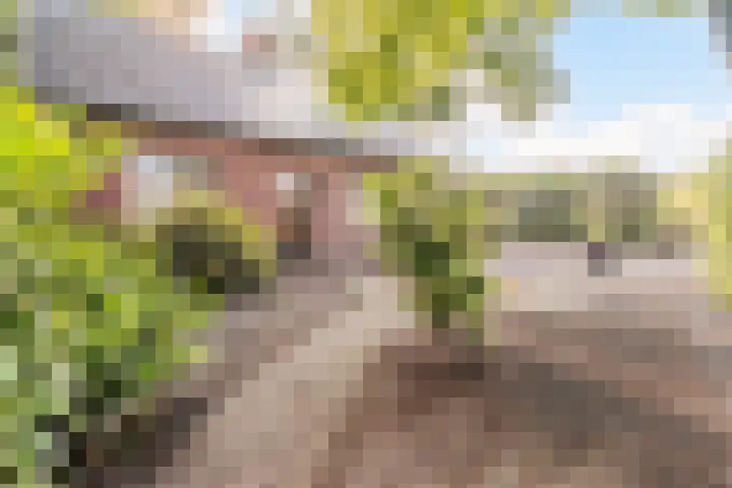 Eerste Blokweg 92 Vroomshoop thumbnail 42