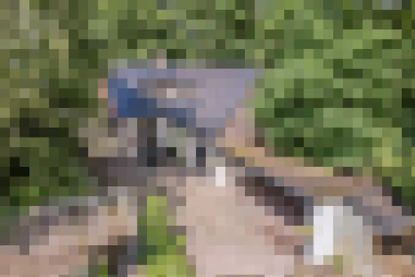 Eerste Blokweg 92 Vroomshoop thumbnail 43