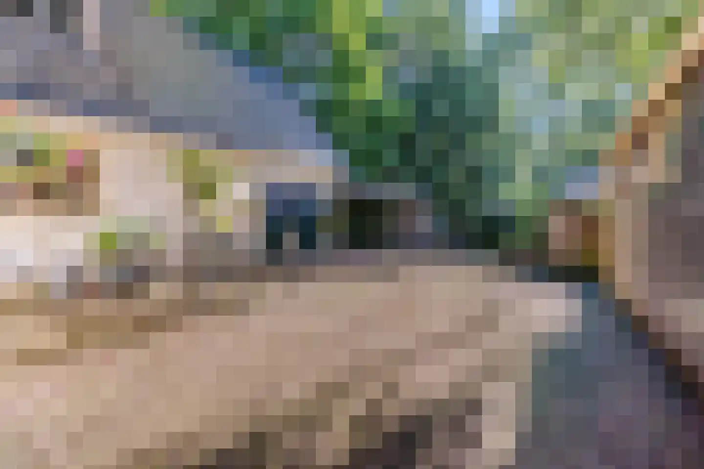Eerste Blokweg 92 Vroomshoop thumbnail 45