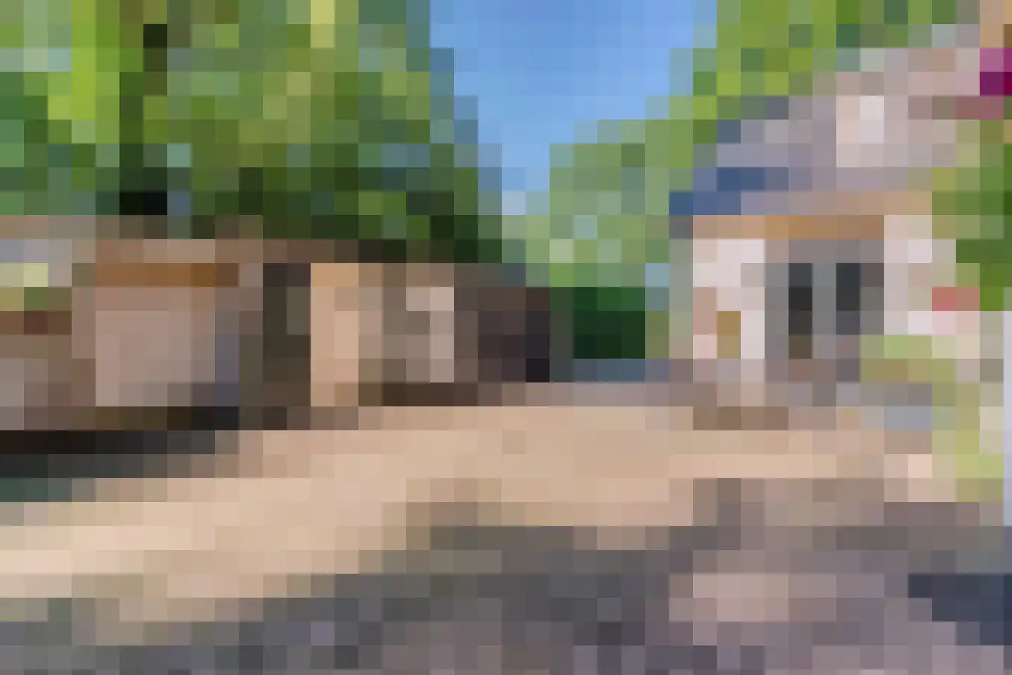 Eerste Blokweg 92 Vroomshoop thumbnail 46