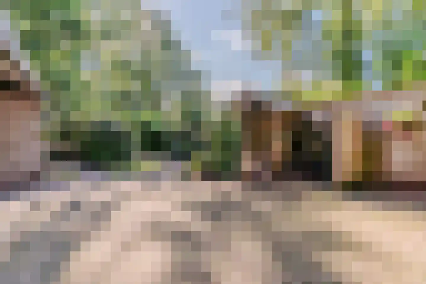 Eerste Blokweg 92 Vroomshoop thumbnail 47