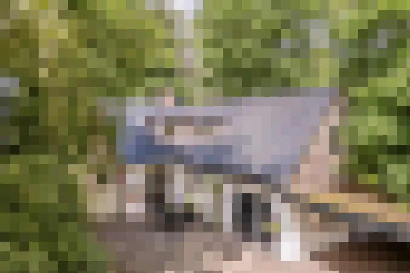 Eerste Blokweg 92 Vroomshoop thumbnail 48