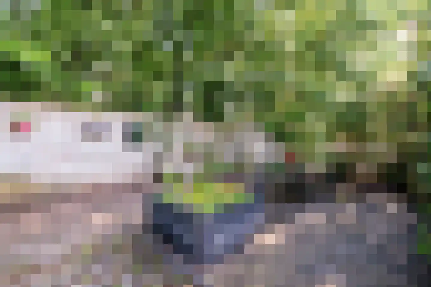 Eerste Blokweg 92 Vroomshoop thumbnail 49