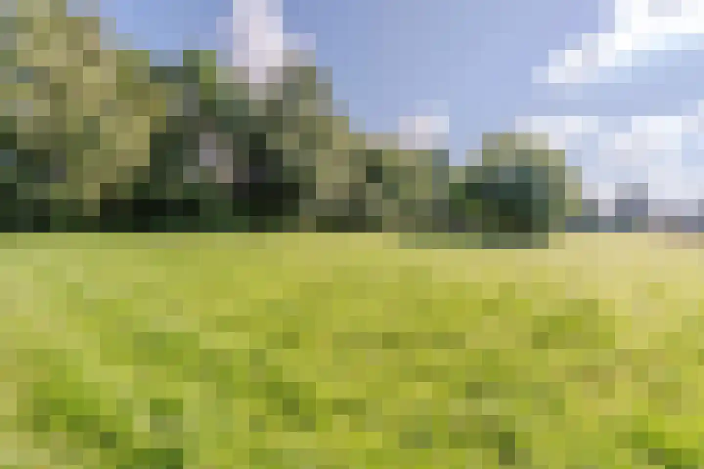 Eerste Blokweg 92 Vroomshoop thumbnail 5