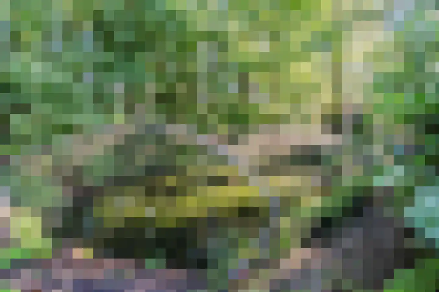 Eerste Blokweg 92 Vroomshoop thumbnail 50