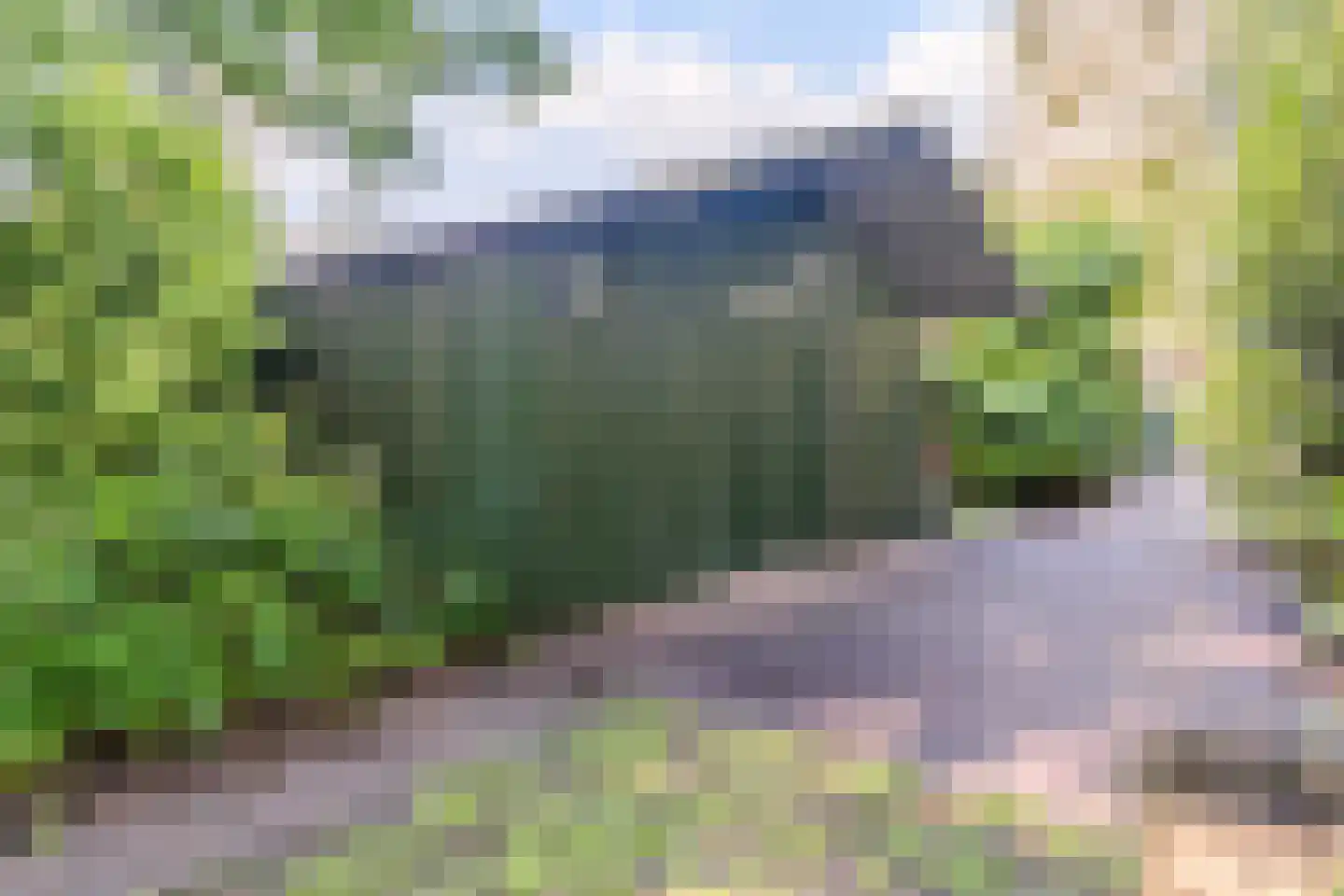 Eerste Blokweg 92 Vroomshoop thumbnail 53