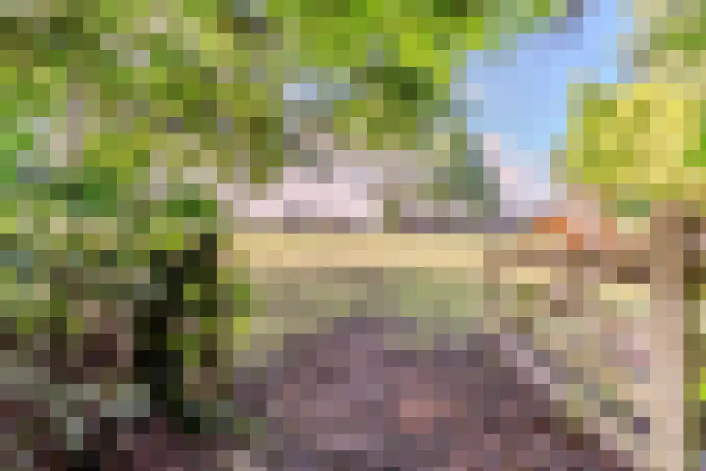 Eerste Blokweg 92 Vroomshoop thumbnail 54
