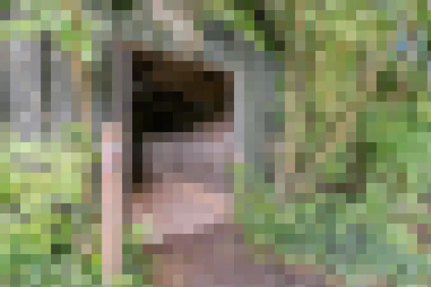 Eerste Blokweg 92 Vroomshoop thumbnail 55