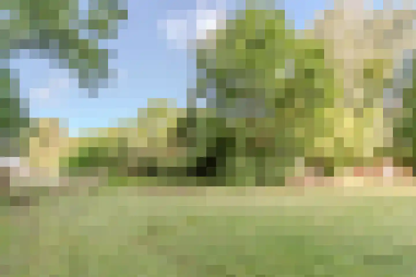 Eerste Blokweg 92 Vroomshoop thumbnail 56