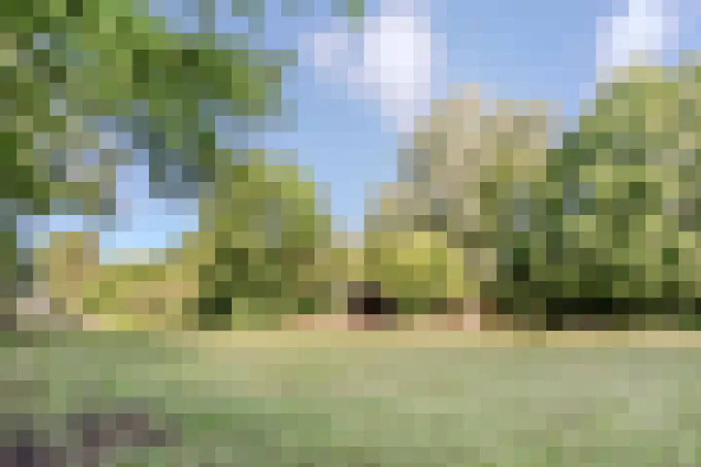 Eerste Blokweg 92 Vroomshoop thumbnail 57