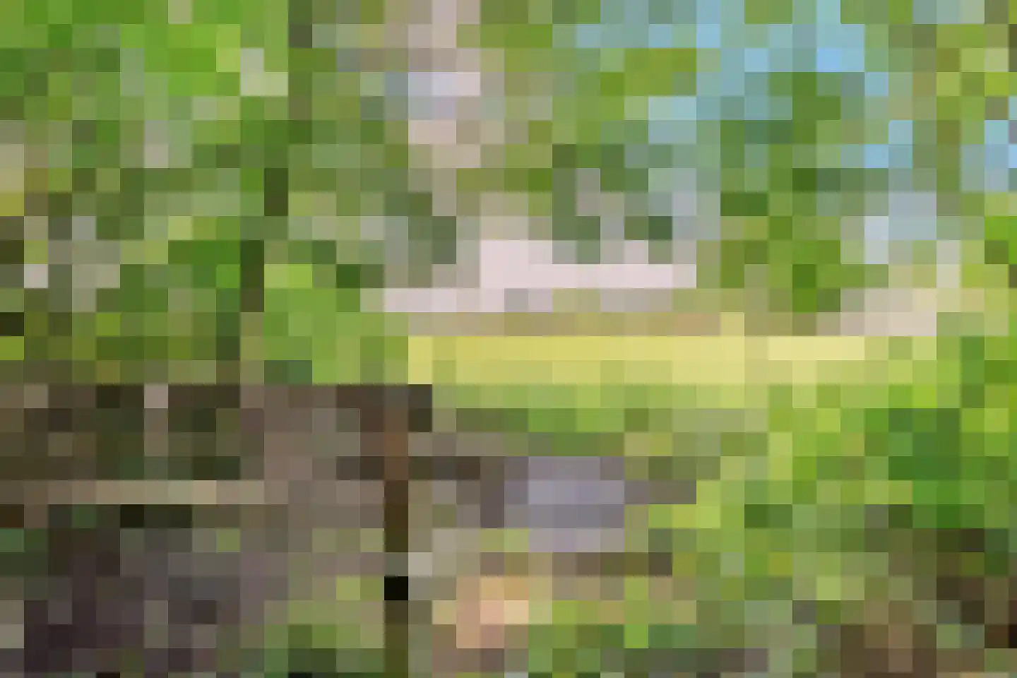 Eerste Blokweg 92 Vroomshoop thumbnail 59