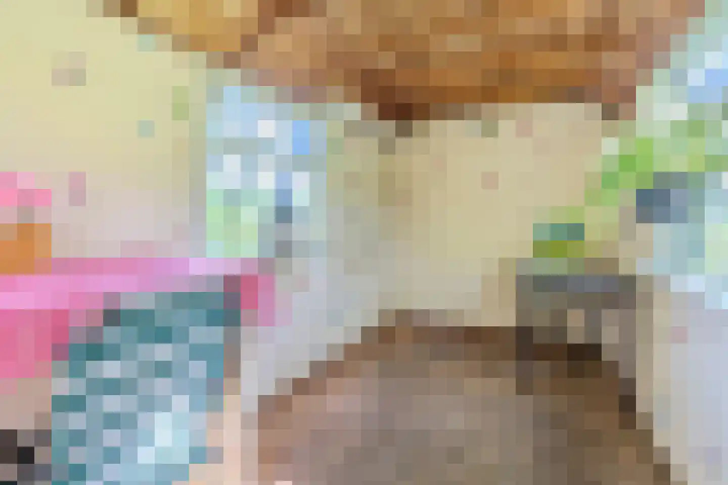 Eerste Blokweg 92 Vroomshoop thumbnail 61