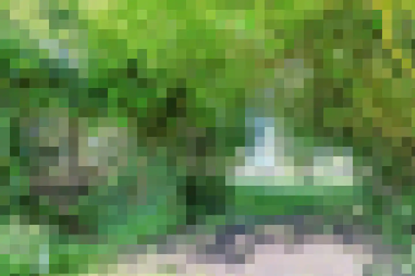 Eerste Blokweg 92 Vroomshoop thumbnail 62