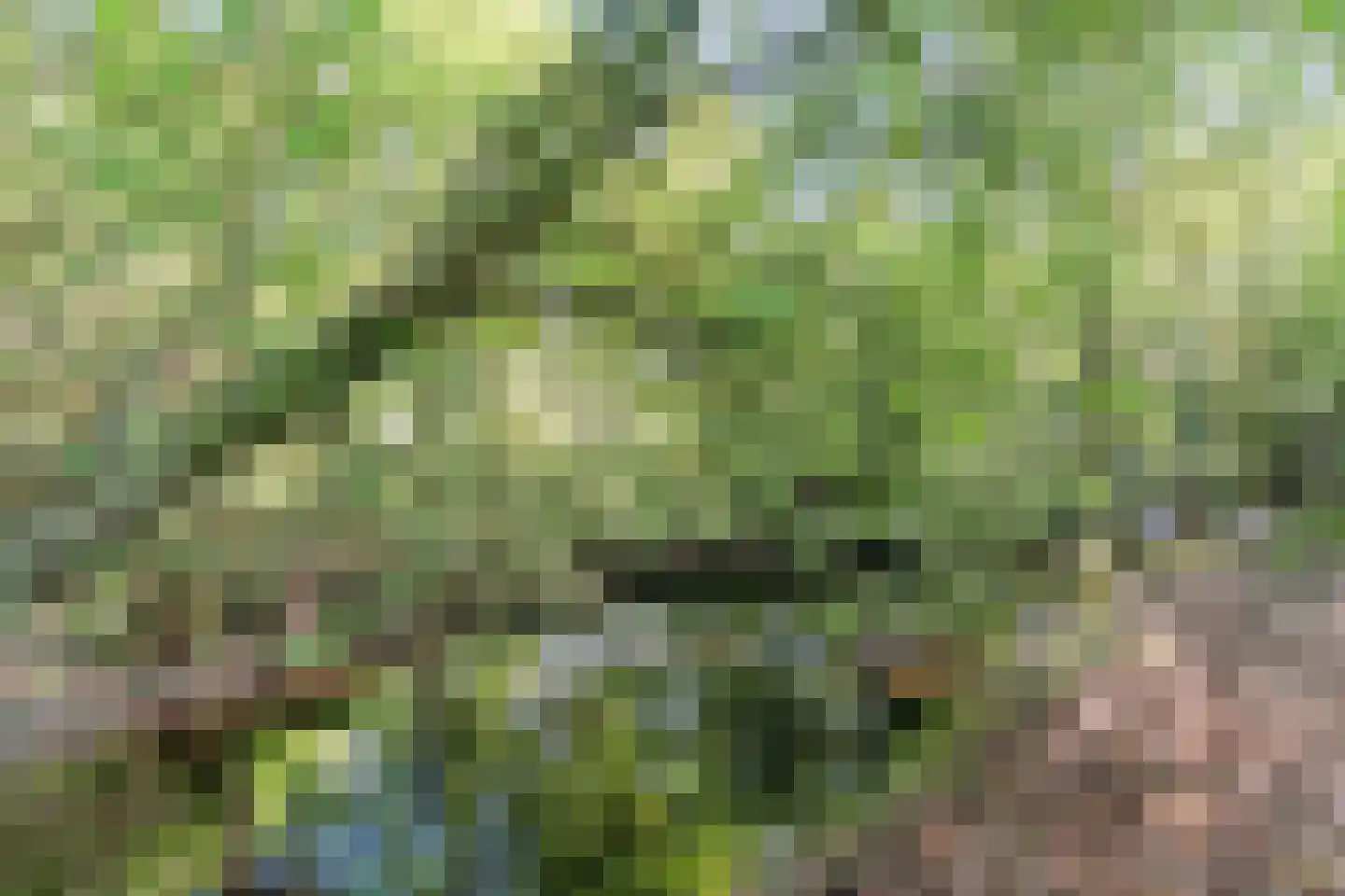 Eerste Blokweg 92 Vroomshoop thumbnail 63