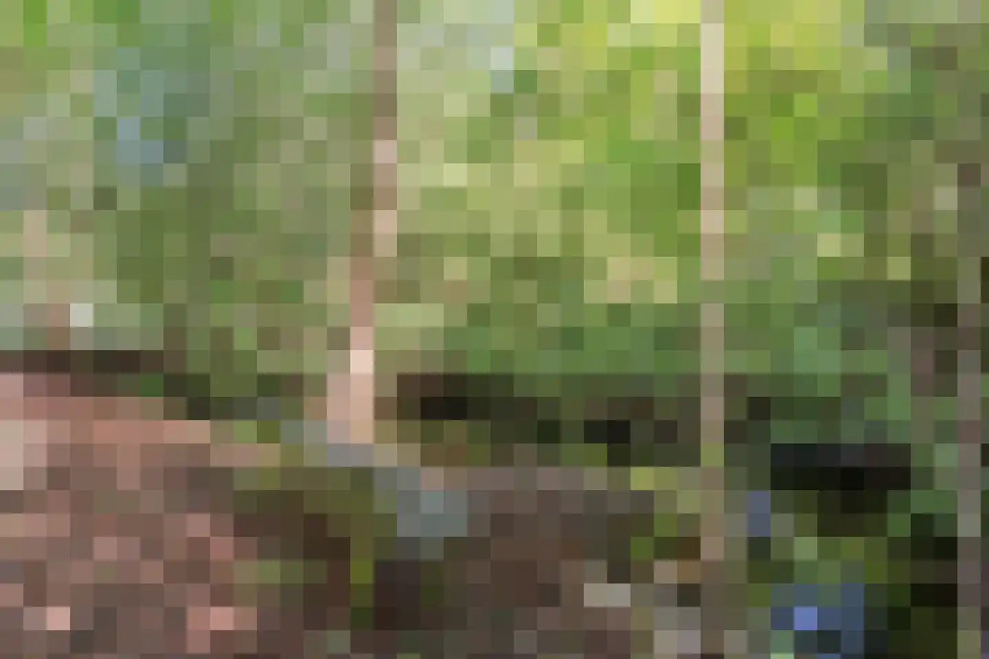Eerste Blokweg 92 Vroomshoop thumbnail 64