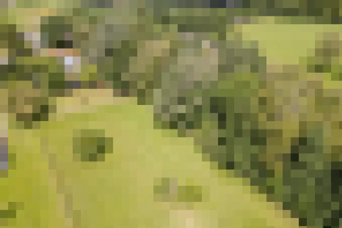 Eerste Blokweg 92 Vroomshoop thumbnail 67
