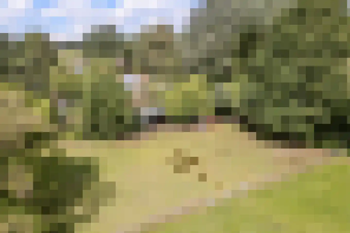 Eerste Blokweg 92 Vroomshoop thumbnail 68