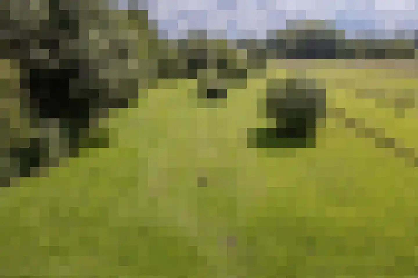 Eerste Blokweg 92 Vroomshoop thumbnail 70