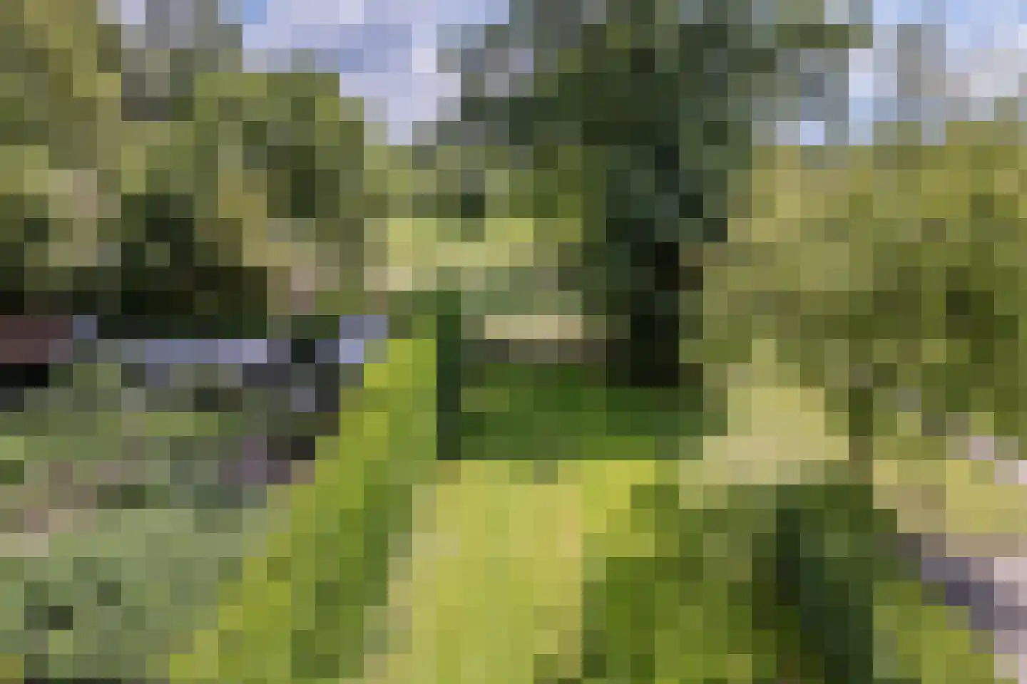 Eerste Blokweg 92 Vroomshoop thumbnail 71