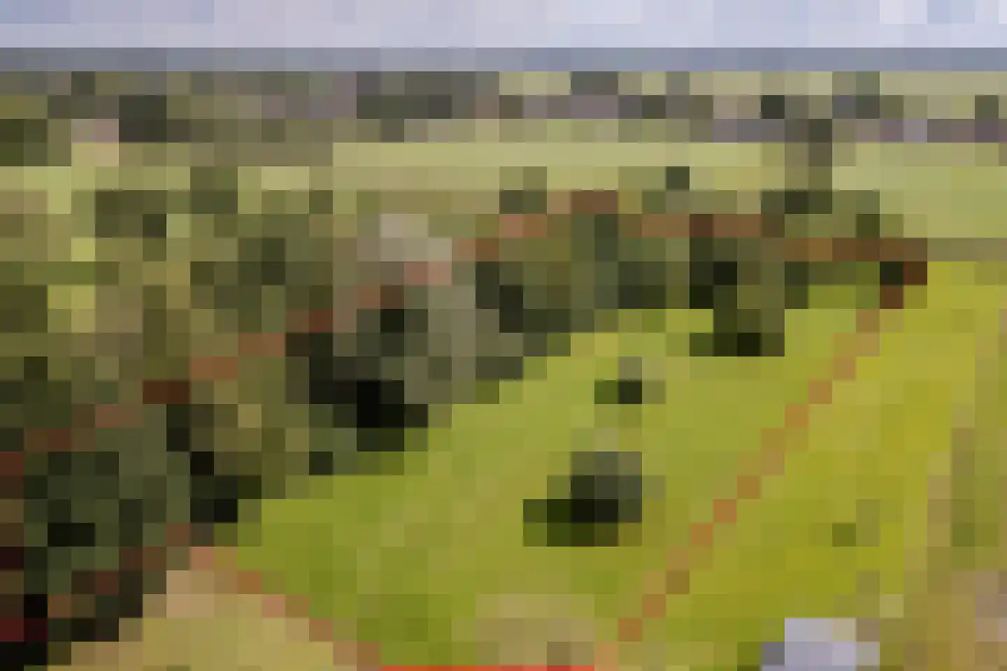 Eerste Blokweg 92 Vroomshoop thumbnail 73