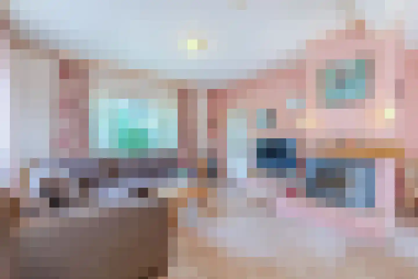 Eerste Blokweg 92 Vroomshoop thumbnail 8