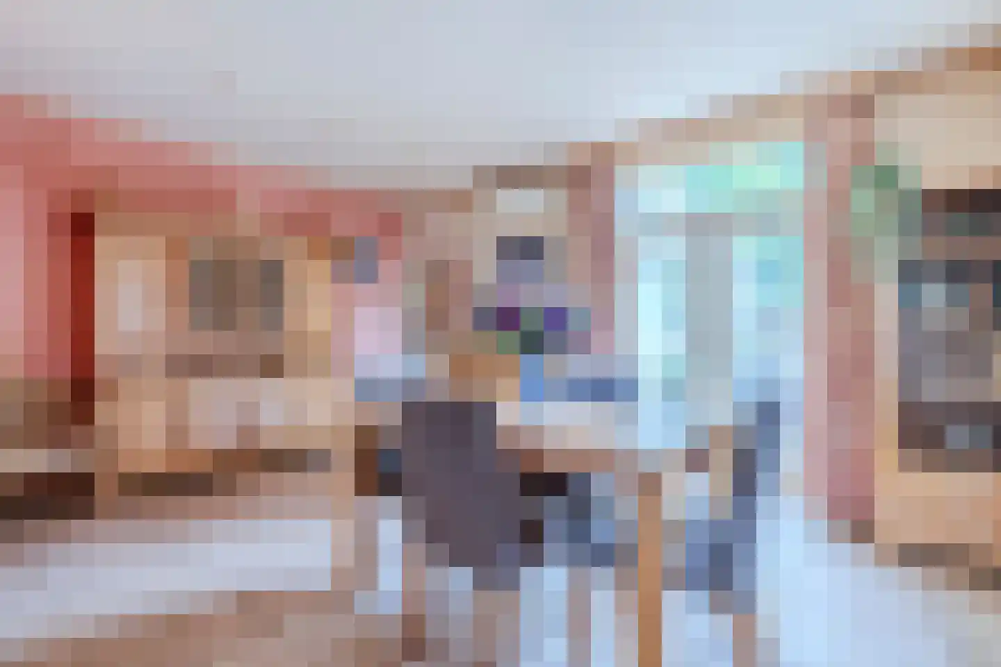 Eerste Blokweg 92 Vroomshoop thumbnail 9