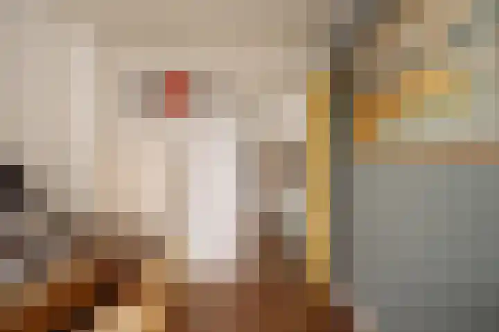 Eerste Boerhaavestraat 14 2 Amsterdam thumbnail 19