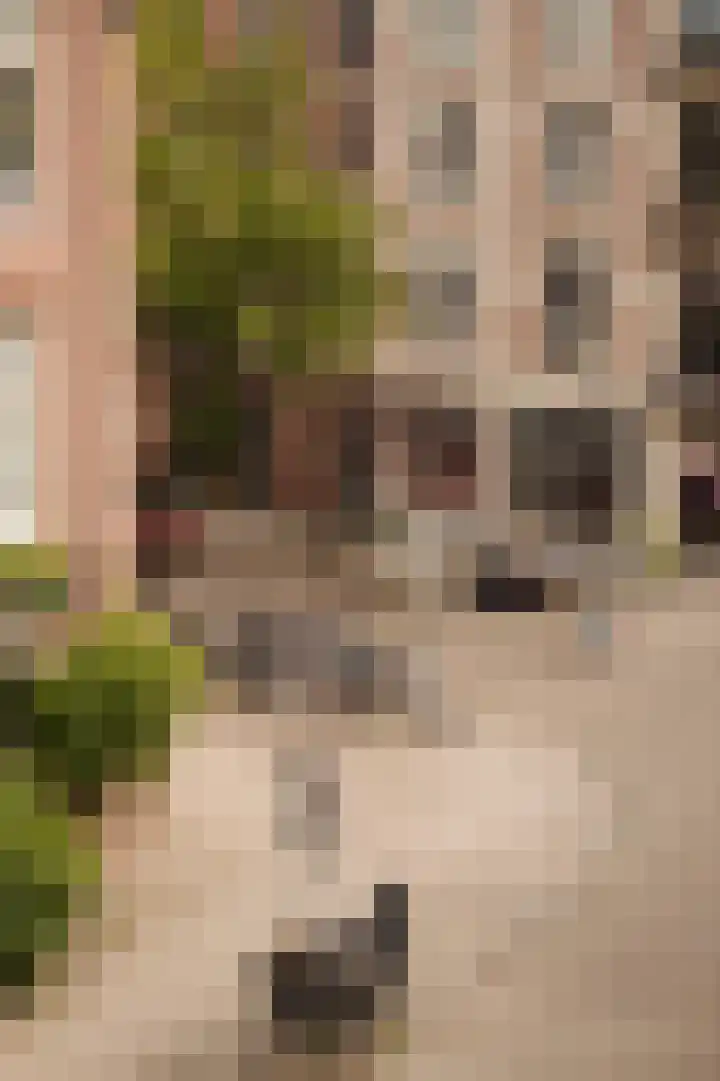 Eerste Boerhaavestraat 14 2 Amsterdam thumbnail 20