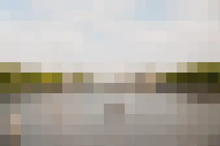 Eerste Boerhaavestraat 14 2 Amsterdam thumbnail 32