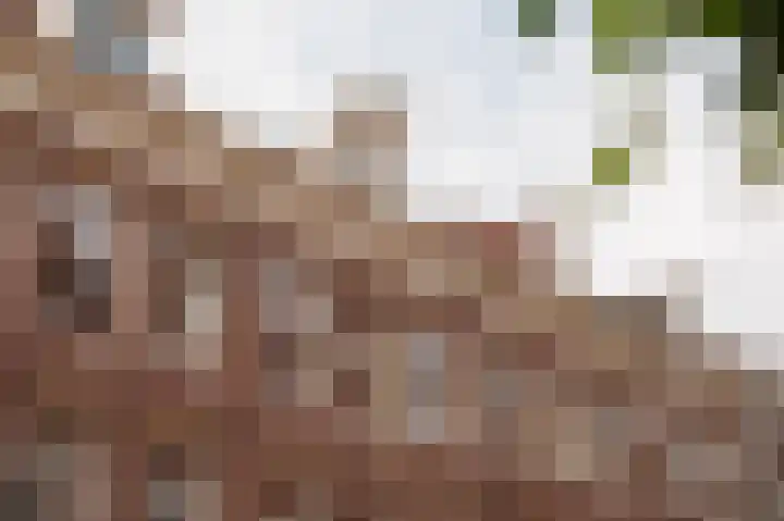 Eerste Boerhaavestraat 14 2 Amsterdam thumbnail 6