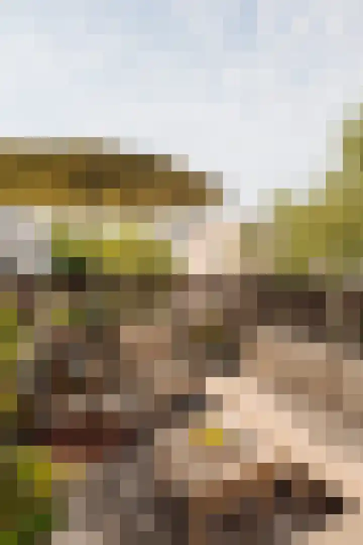 Eerste Boerhaavestraat 14 2 Amsterdam thumbnail 8