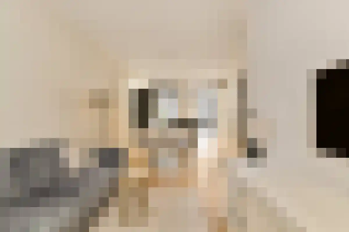 Eerste Boerhaavestraat 14 Amsterdam thumbnail 6
