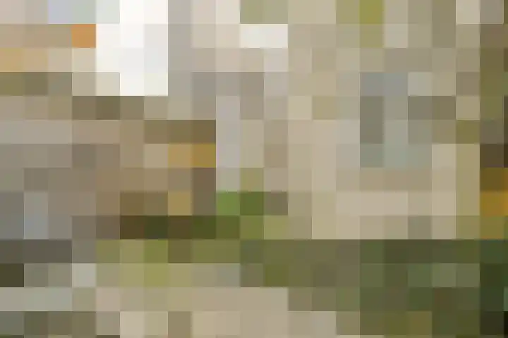 Eerste Boerhaavestraat 16 1 Amsterdam thumbnail 11
