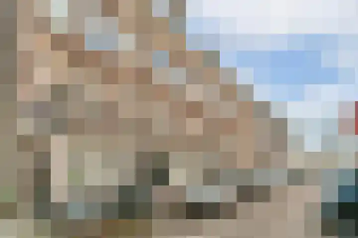 Eerste Boerhaavestraat 16 1 Amsterdam thumbnail 13