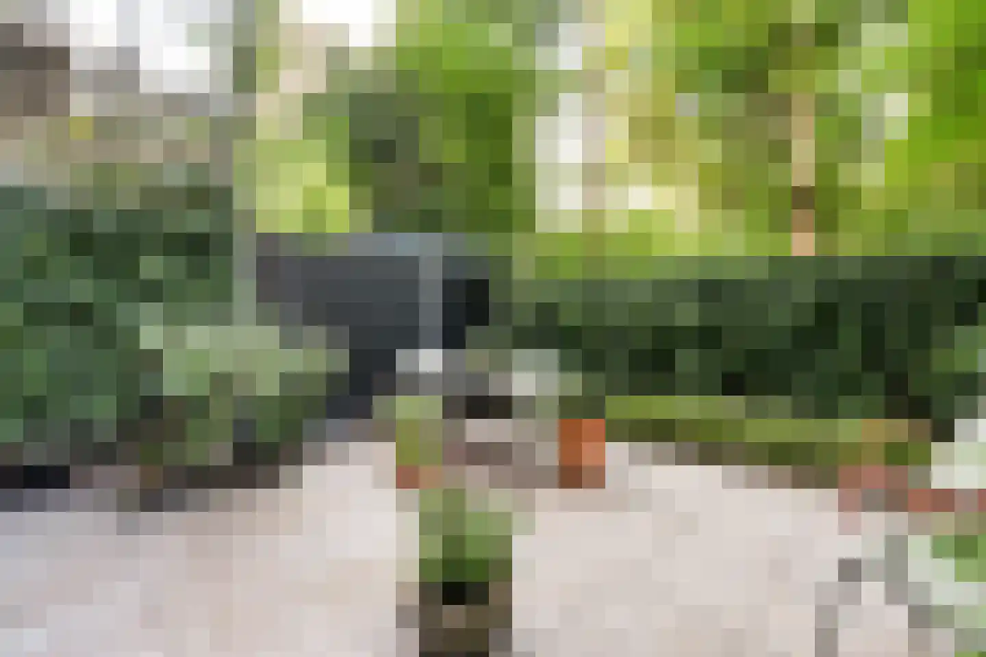 Eerste Boerhaavestraat 17 B Amsterdam thumbnail 7