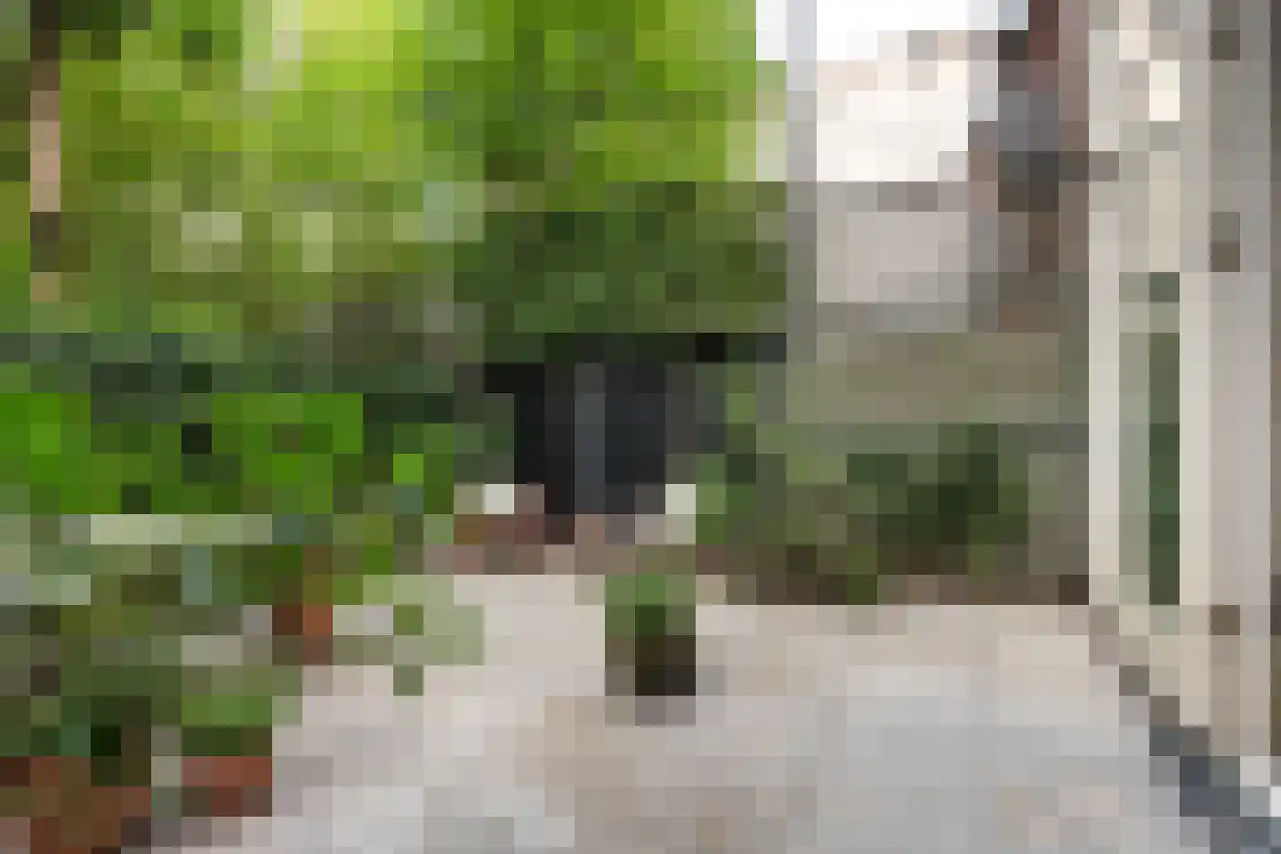 Eerste Boerhaavestraat 17 B Amsterdam thumbnail 8