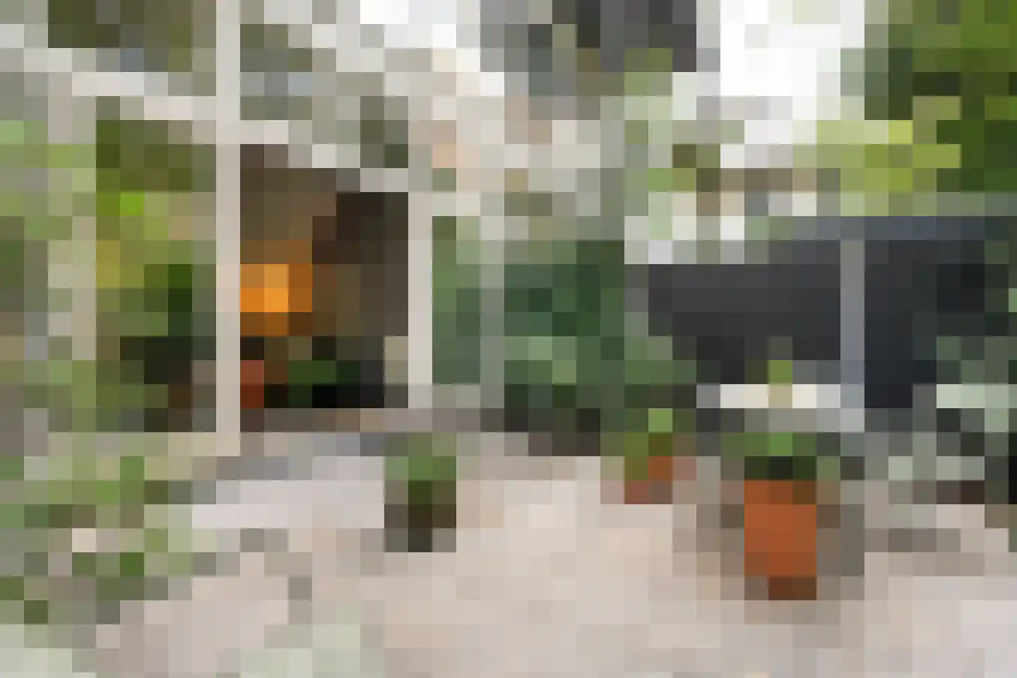 Eerste Boerhaavestraat 17 B Amsterdam thumbnail 9