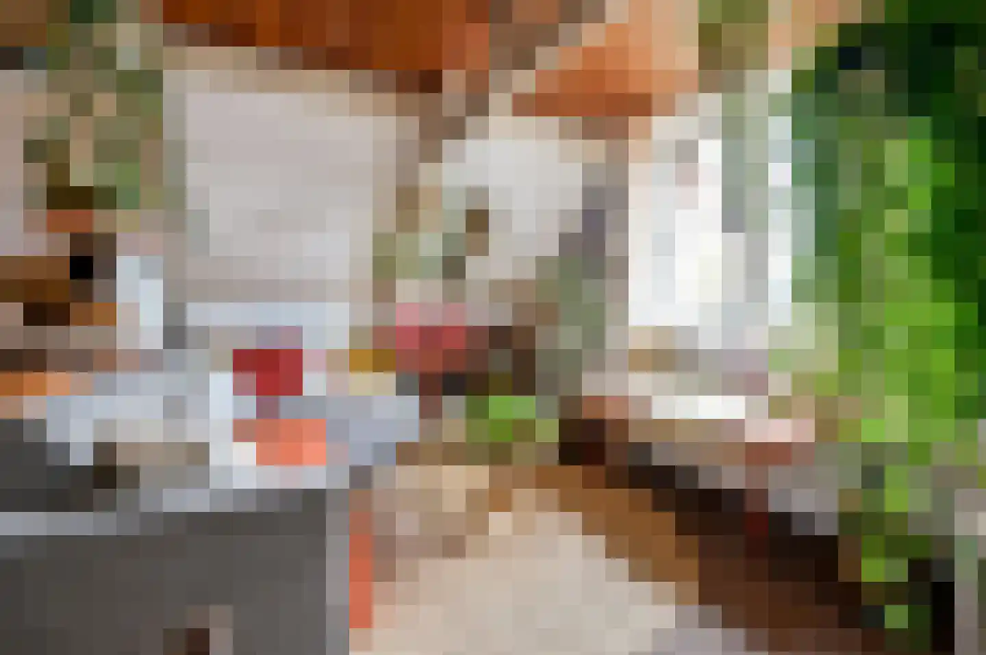 Eerste Boerhaavestraat 3 2 Amsterdam thumbnail 22