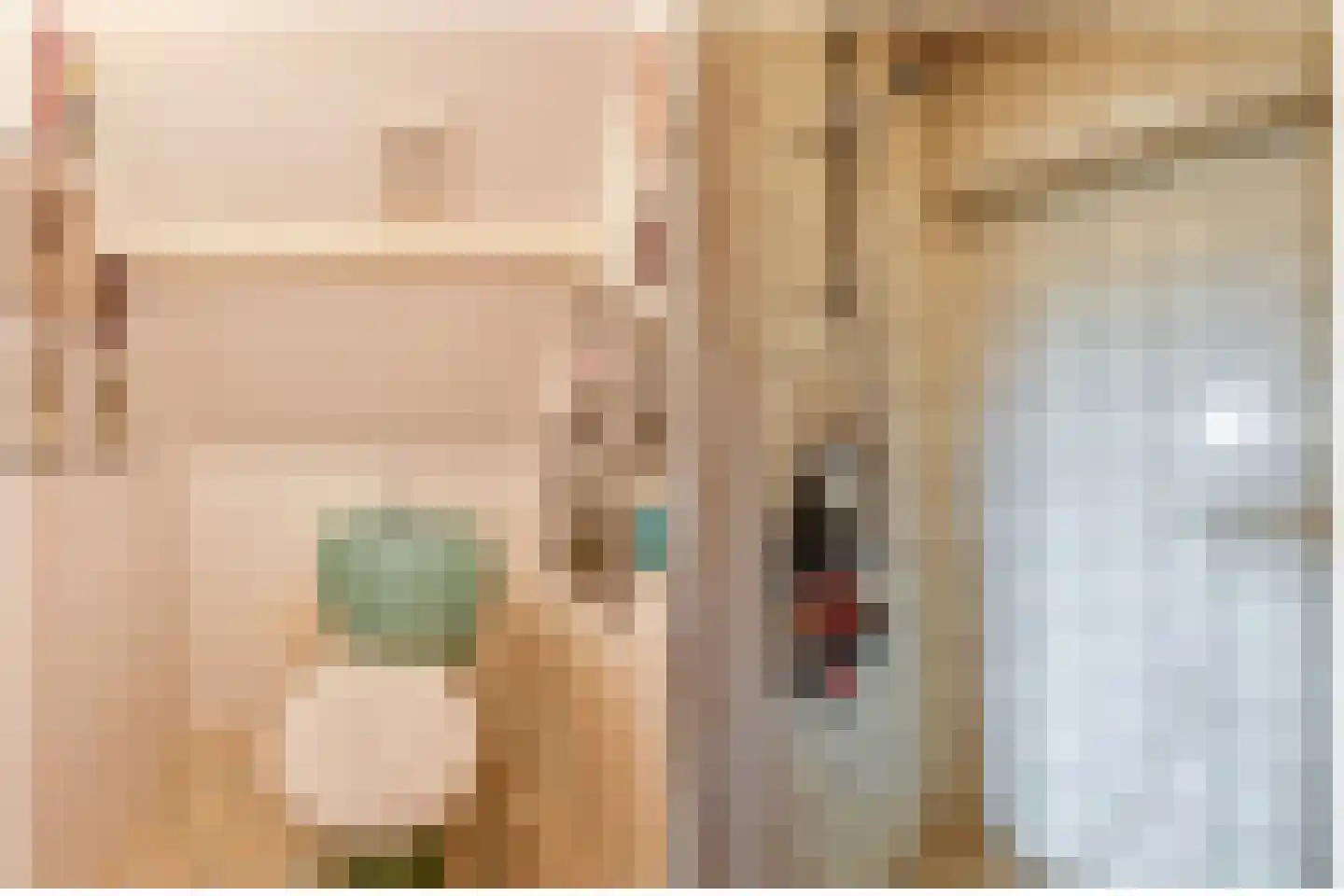 Eerste Boerhaavestraat 3 2 Amsterdam thumbnail 26