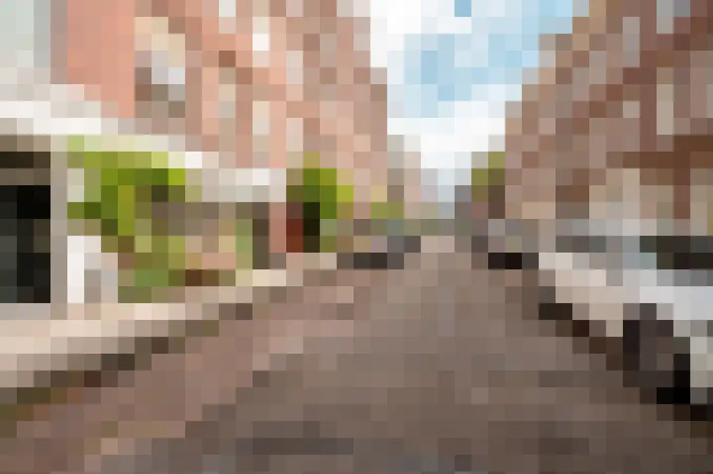 Eerste Boerhaavestraat 3 2 Amsterdam thumbnail 32