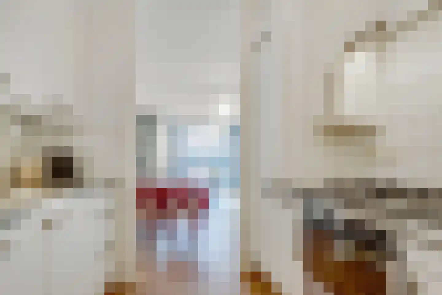 Eerste Boerhaavestraat 6 D Amsterdam thumbnail 20