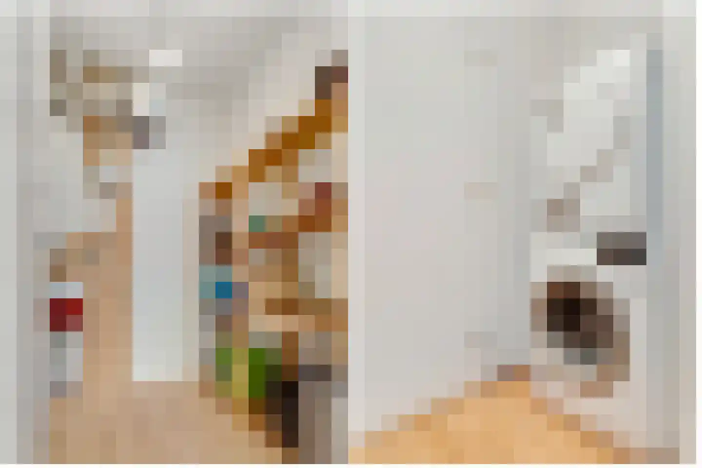 Eerste Boerhaavestraat 6 D Amsterdam thumbnail 22