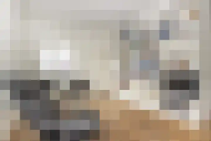 Eerste Boerhaavestraat 8 G Amsterdam thumbnail 12