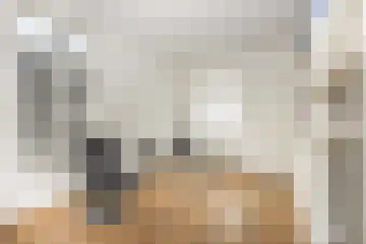 Eerste Boerhaavestraat 8 G Amsterdam thumbnail 13