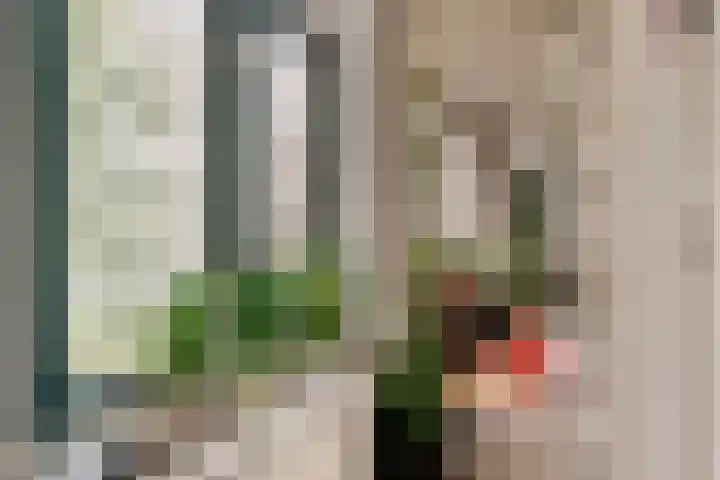 Eerste Boerhaavestraat 8 G Amsterdam thumbnail 16
