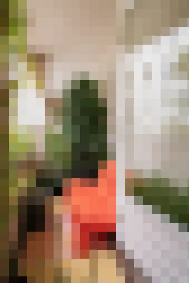 Eerste Boerhaavestraat 8 G Amsterdam thumbnail 23