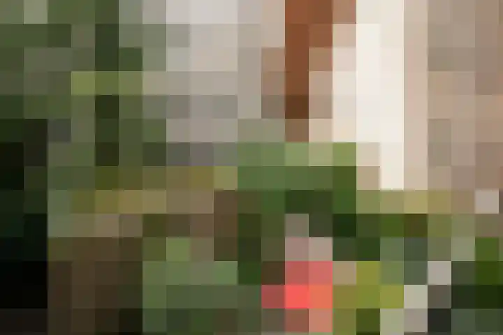 Eerste Boerhaavestraat 8 G Amsterdam thumbnail 25